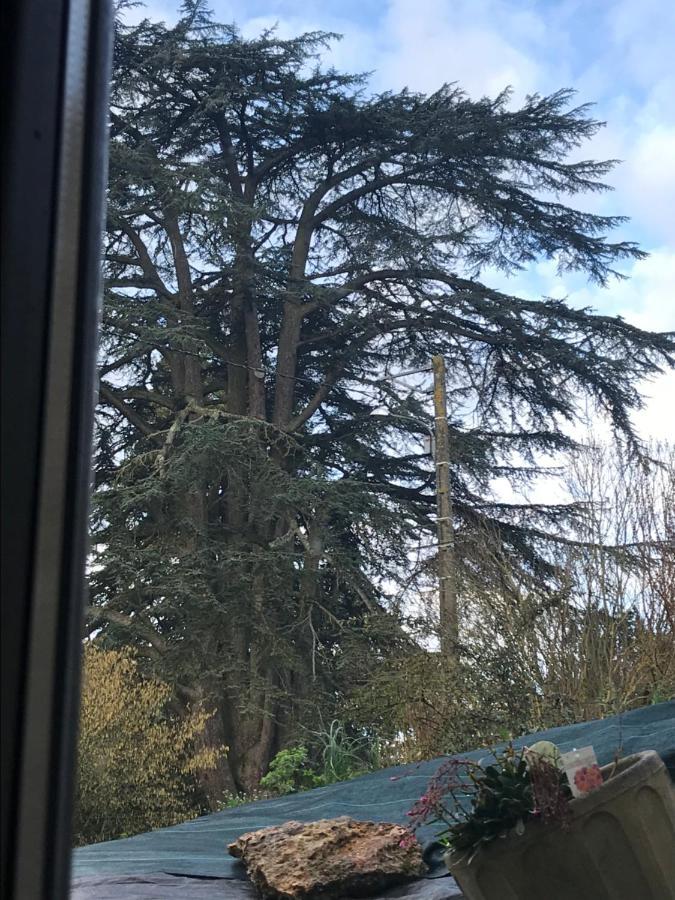 13 Rue Du Perré Maison De La Membrolle-sur-Choisille